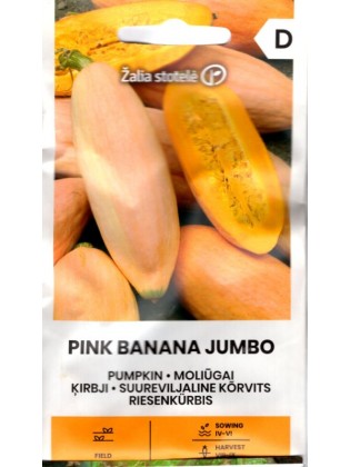 Dynia olbrzymia 'Pink banana jumbo'