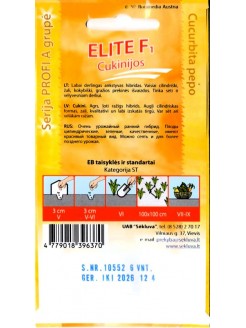 Kabaczek 'Elite' H, 6 nasion