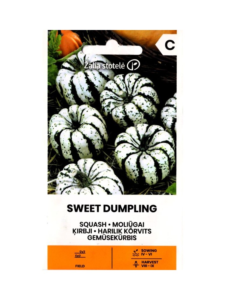 Dynia olbrzymia 'Sweet dumpling'