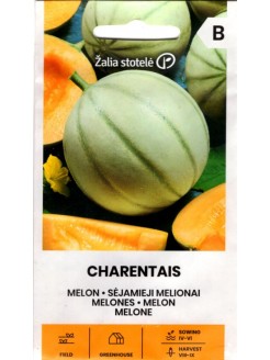 Ogórek melon 'Charentais' 1 g