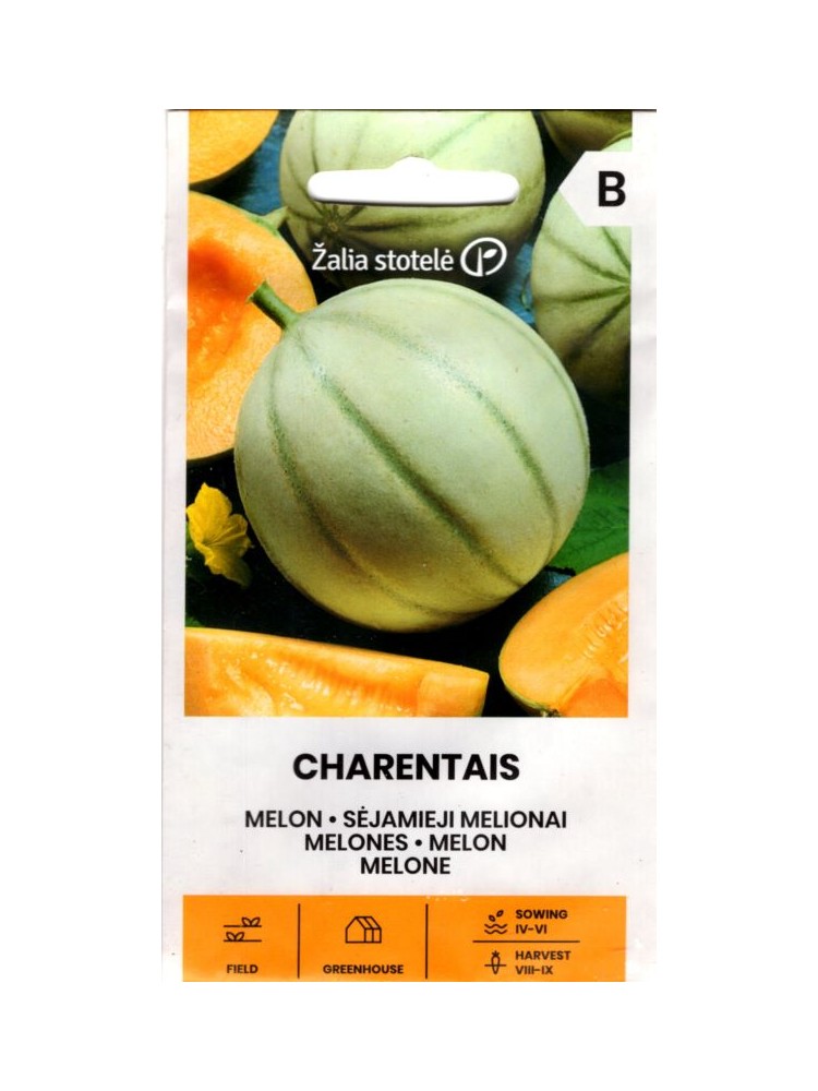 Ogórek melon 'Charentais' 1 g