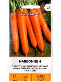 Marchew 'Narbonne' H, 1 g