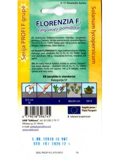 Pomidor 'Florenzia' H,  10 nasion