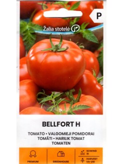 Pomidor 'Bellfort' H