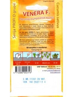 Ogórek 'Venera' H, 20 nasion