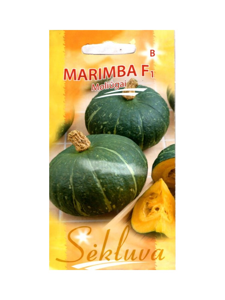 Dynia piżmowa 'Marimba' F1, 5 nasion