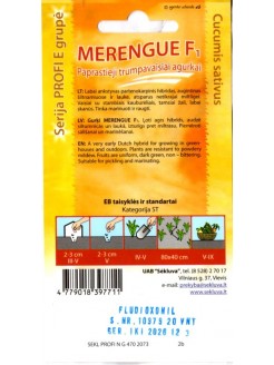 Ogórek 'Merengue' H, 20 nasion