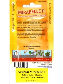 Ogórek 'Mirabelle' H, 100 nasion