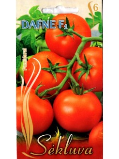 Pomidor 'Dafne' F1
