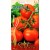 Pomidor 'Dafne' F1, 10 nasion