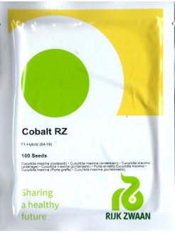 Podkładka ogórka 'Cobalt' F1, 100 nasion