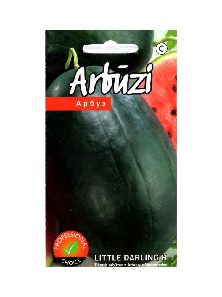Arbuz 'Little Darling' H, 5 nasion