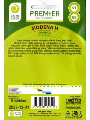 Cukinia 'Modena' H, 5 nasion