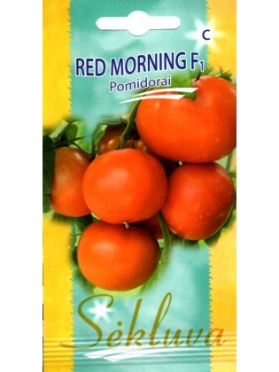 Pomidor 'Red Morning' F1
