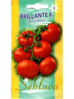 Pomidor 'Brillante' F1, 10 nasion