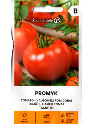 Pomidor 'Promyk' - nasiona w internecie