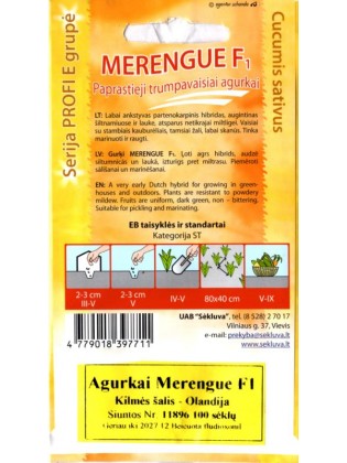 Ogórek 'Merengue' H, 100 nasion