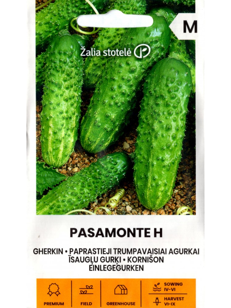 Ogórek 'Pasamonte' H, 0,5 g