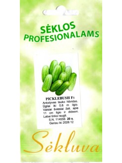 Ogórek 'Picklebush' H, 20 nasion