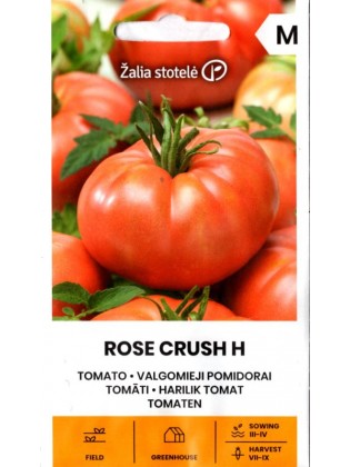 Pomidor 'Rose Crush' H, 7 nasion