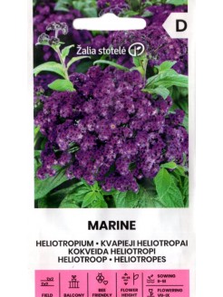 Heliotrop peruwiański 'Marine' 0,1 g