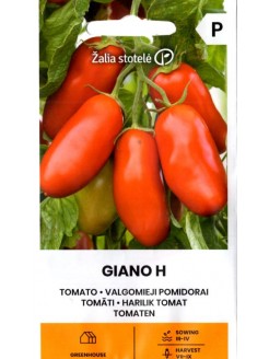 Pomidor 'Giano' H, 10 nasion