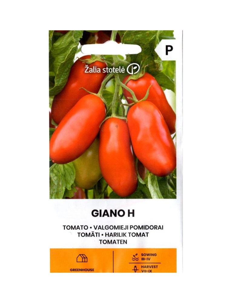 Pomidor 'Giano' H, 10 nasion