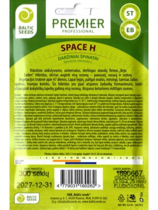 Szpinak warzywny 'Space H', 300 nasion