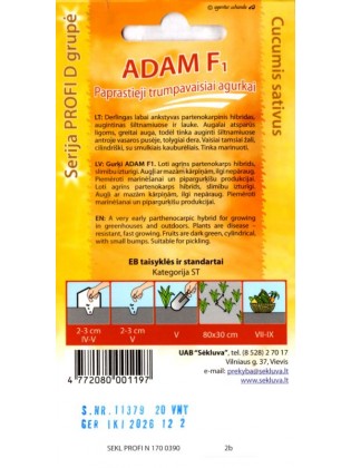 Ogórek siewny 'Adam' H, 20 nasion