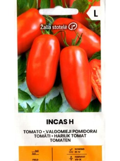 Pomidor 'Incas' H, 15 nasion