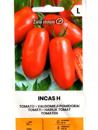 Pomidor 'Incas' H, 15 nasion