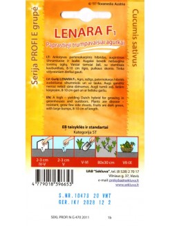 Ogórek 'Lenara' H, 20 nasion