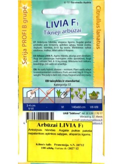 Arbuz 'Livia' H, 100 nasion