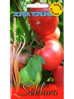 Pomidor 'Zorza Toruńska' 3 g