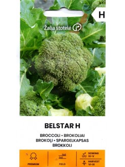 Brokuł 'Belstar' H, 0,2 g