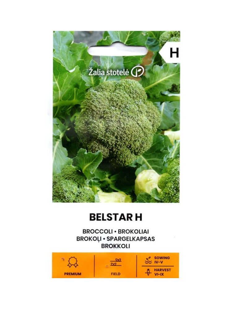 Brokuł 'Belstar' H, 0,2 g
