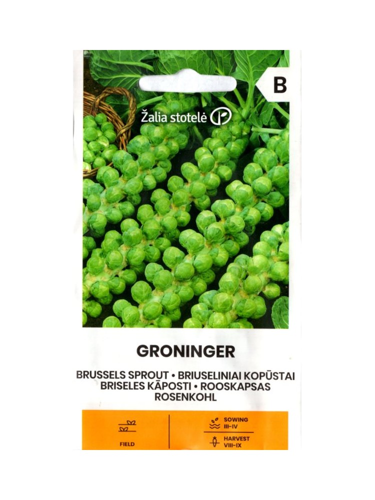 Kapusta warzywna brukselska 'Groninger' 1 g