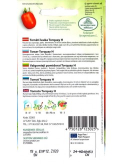 Pomidor 'Torquay' H, 15 nasion