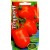 Pomidor 'Torquay' H, 15 nasion