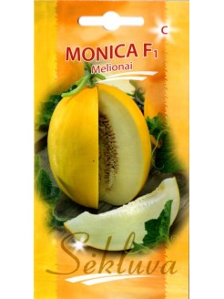 Melon 'Monica' F1, 10 nasion