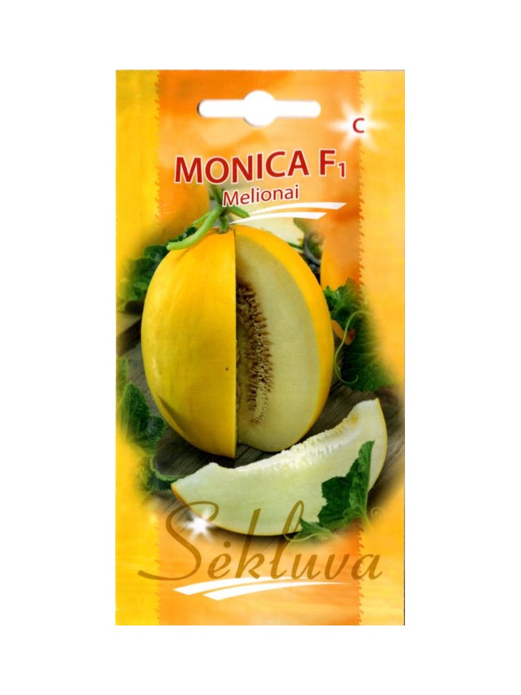 Melon 'Monica' F1, 10 nasion
