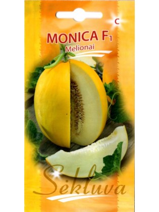 Melon 'Monica' F1, 10 nasion