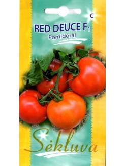 Pomidor 'Red Deuce' F1, 10 nasion