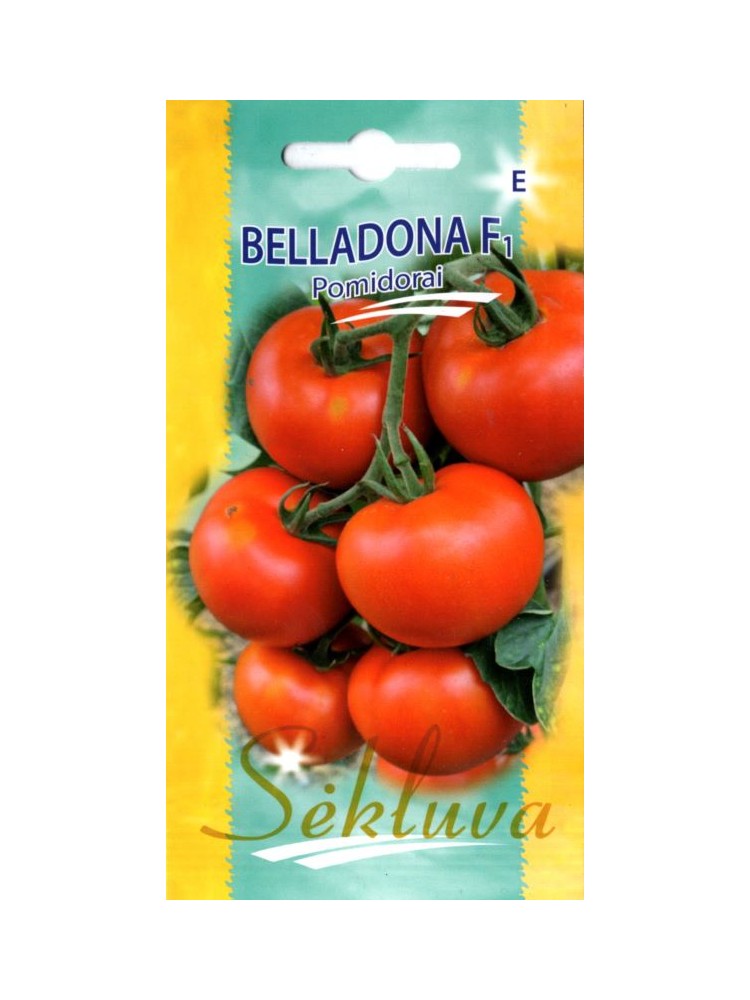Pomidor 'Belladona' F1, 10 nasion