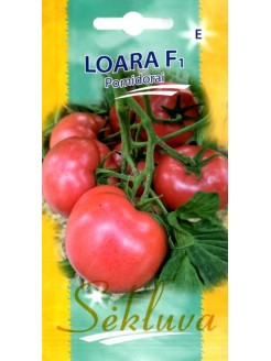 Pomidor 'Loara' F1, 10 nasion