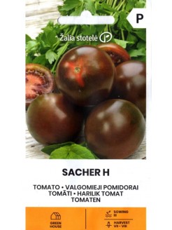 Pomidor 'Sacher' H, 5 nasion