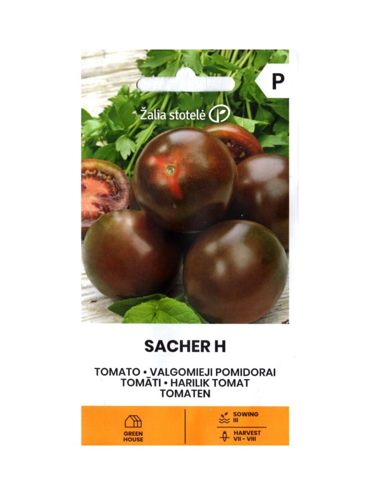 Pomidor 'Sacher' H, 5 nasion
