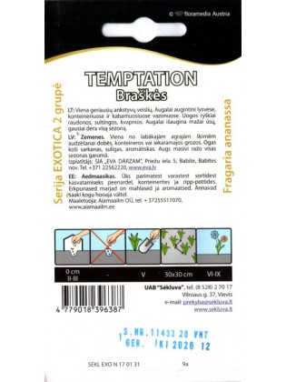 Truskawka 'Temtation' 20 nasion