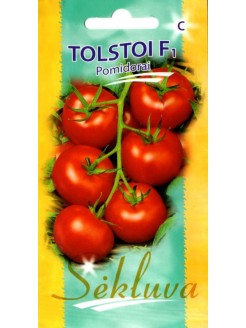 Pomidor 'Tolstoi' H, 20 nasion