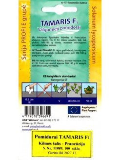 Pomidor zwyczajny 'Tamaris' H